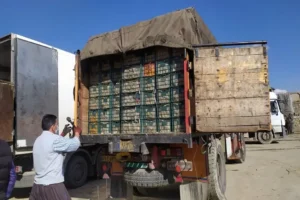 تردد بیش از ۹۱ هزار ناوگان ترانزیتی از مرزهای آذربایجان غربی در نیمه نخست سال